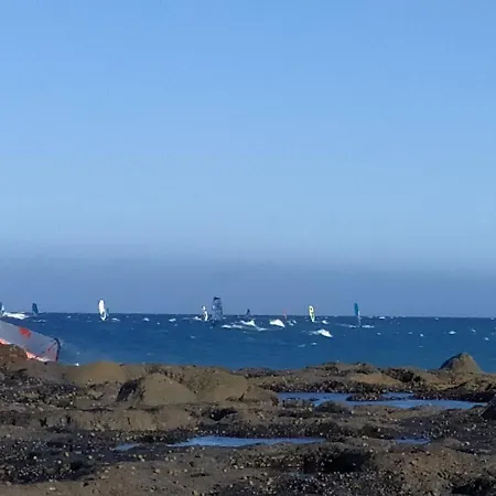 Apartamento Seagull Estudios *