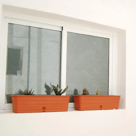 Apartamento Seagull Estudios *