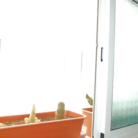 Seagull Estudios Pozo Izquierdo