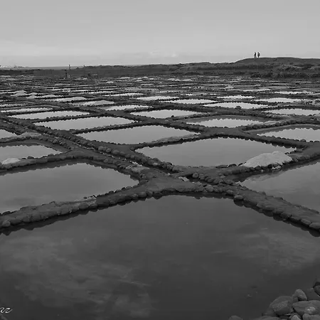 Apartamento Seagull Estudios