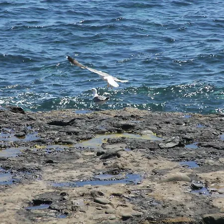 Seagull Estudios Apartment