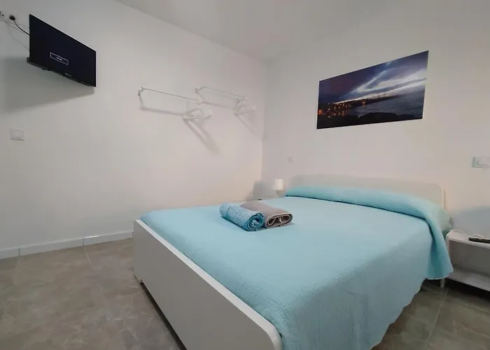 Seagull Estudios