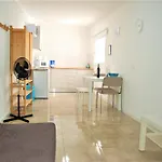 Seagull Estudios